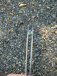 1.02ct Heated Blue Green Sapphire Fancy Cut, 8 x 5.5 x 3.1mm · GEM-6334