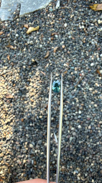 1.43ct Sapphire Oval from Madagascar, Heat Treated, 8.02 x 5.72 x 3.73mm, Heated · GEM-5564