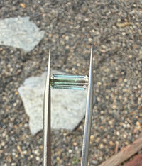 1.67ct Afghanistan Green (slight bicolor) Tourmaline, 11.36 x 4.4 x 3.7mm · GEM-8446