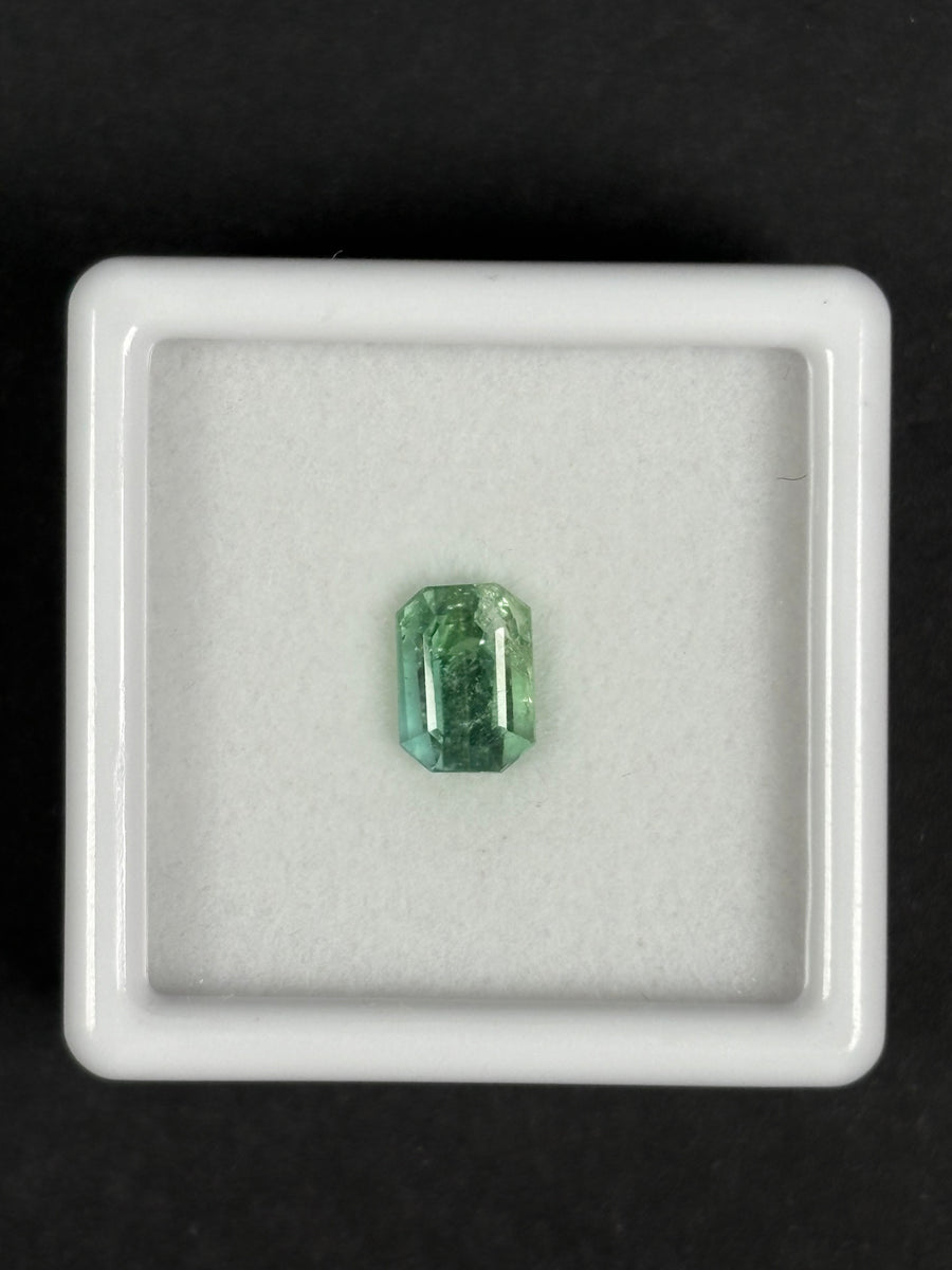 1.07ct Bluish Green Tourmaline  · GEM-5811
