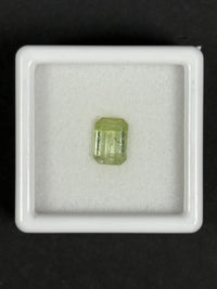 1.11ct Light Green Tourmaline  · GEM-5812