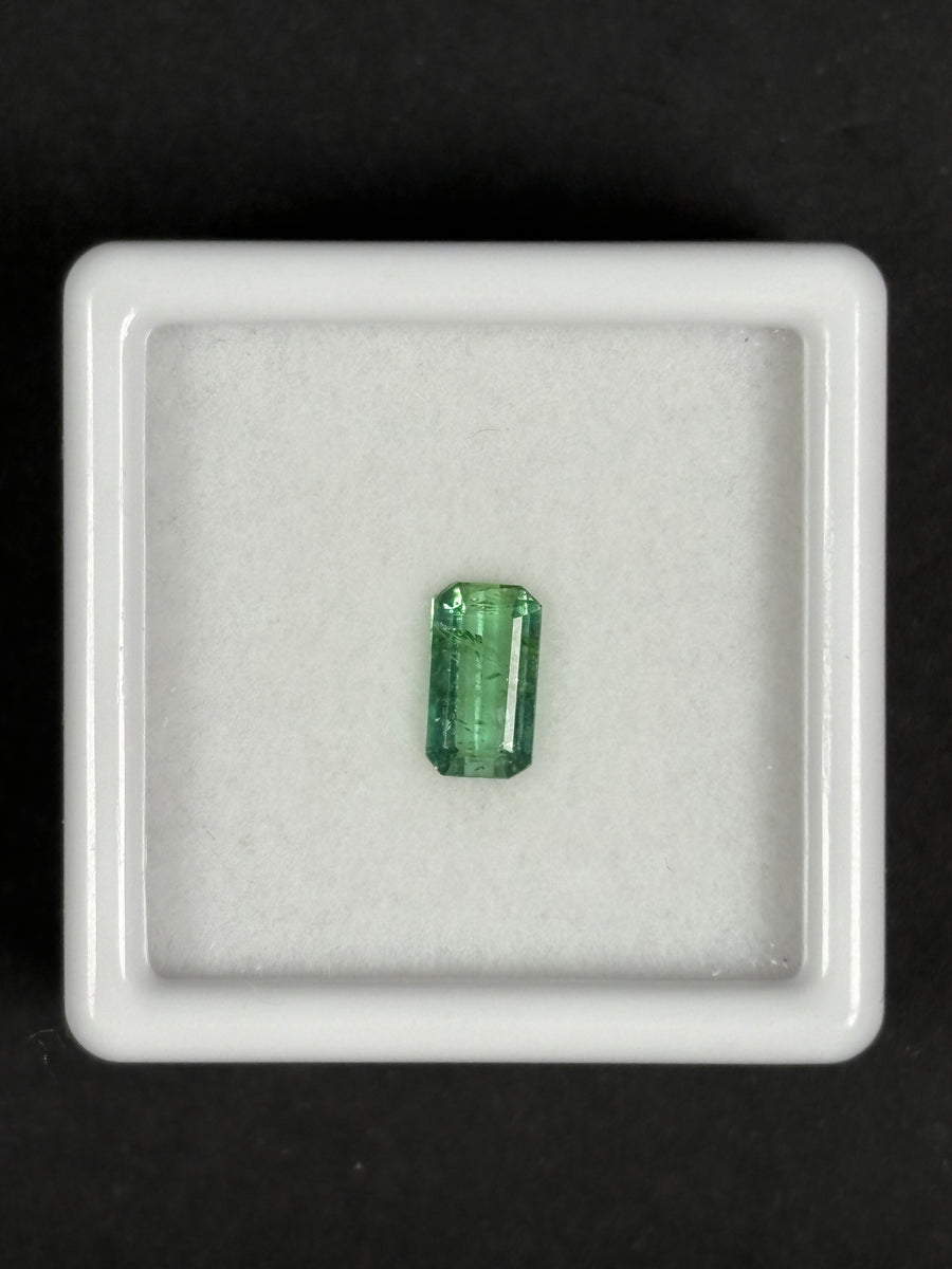 0.58ct Green Tourmaline  · GEM-5816
