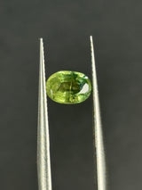 1.17ct heated green Australian sapphire, oval cut, 7x5x3.35 mm