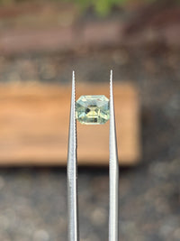 AIG Certified 1.8ct Greenish Yellow Sapphire, Heat, 7.34 c 6.24 x 4.22mm, Emerald Cut, Heated · GEM-5987