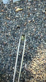1.8ct heated green Australian sapphire, oval cut, 7.9x5.7x4.5 mm