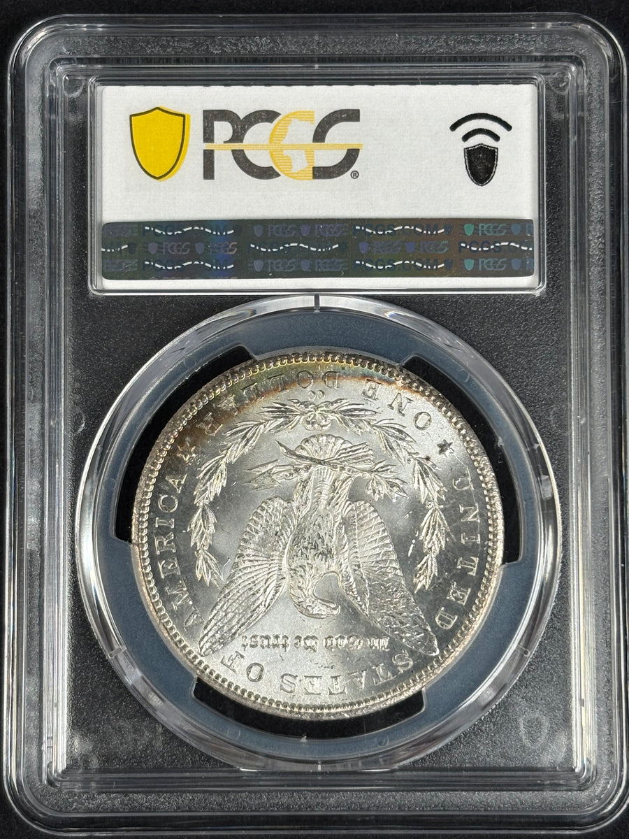 1884 Cc Morgan Dollar GSA PCGS MS62