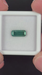 1.49ct Green Tourmaline · GEM-5621