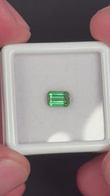 0.69ct Green Tourmaline · GEM-5615