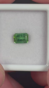 0.90ct Green Tourmaline · GEM-5614