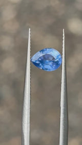AIG Certified 1.15ct Heated Blue Sapphire Pear, 6.89 x 5.21 x 3.87mm · GEM-5865