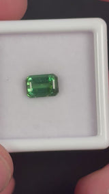 1.23ct Green Tourmaline · GEM-5613