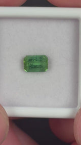 0.90ct Green Tourmaline · GEM-5614