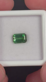 1.23ct Green Tourmaline · GEM-5613