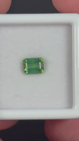 0.68ct Green Tourmaline · GEM-5617