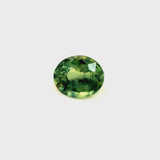 1.5ct Heated Teal Australian Sapphire Oval, 7.3 x 6.2 x 3.9mm · GEM-5874