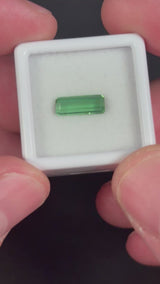 1.46ct Green Tourmaline