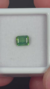 0.68ct Green Tourmaline · GEM-5617