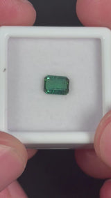 0.74ct Green Tourmaline · GEM-5151