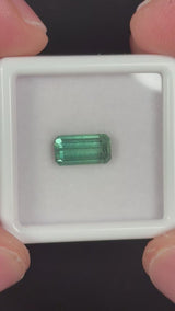 1.68ct Green Tourmaline · GEM-5620