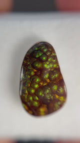 4.81ct Deer Creek & Oatman AZ Fire Agate  · GEM-5856
