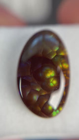 9.96ct Deer Creek & Oatman AZ Fire Agate  · GEM-5858