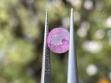 2ct Sapphires · GEM-0038