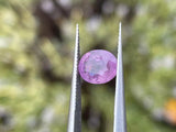 1.94ct Sapphires · GEM-0037